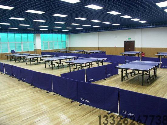 乒乓球馆(图1)